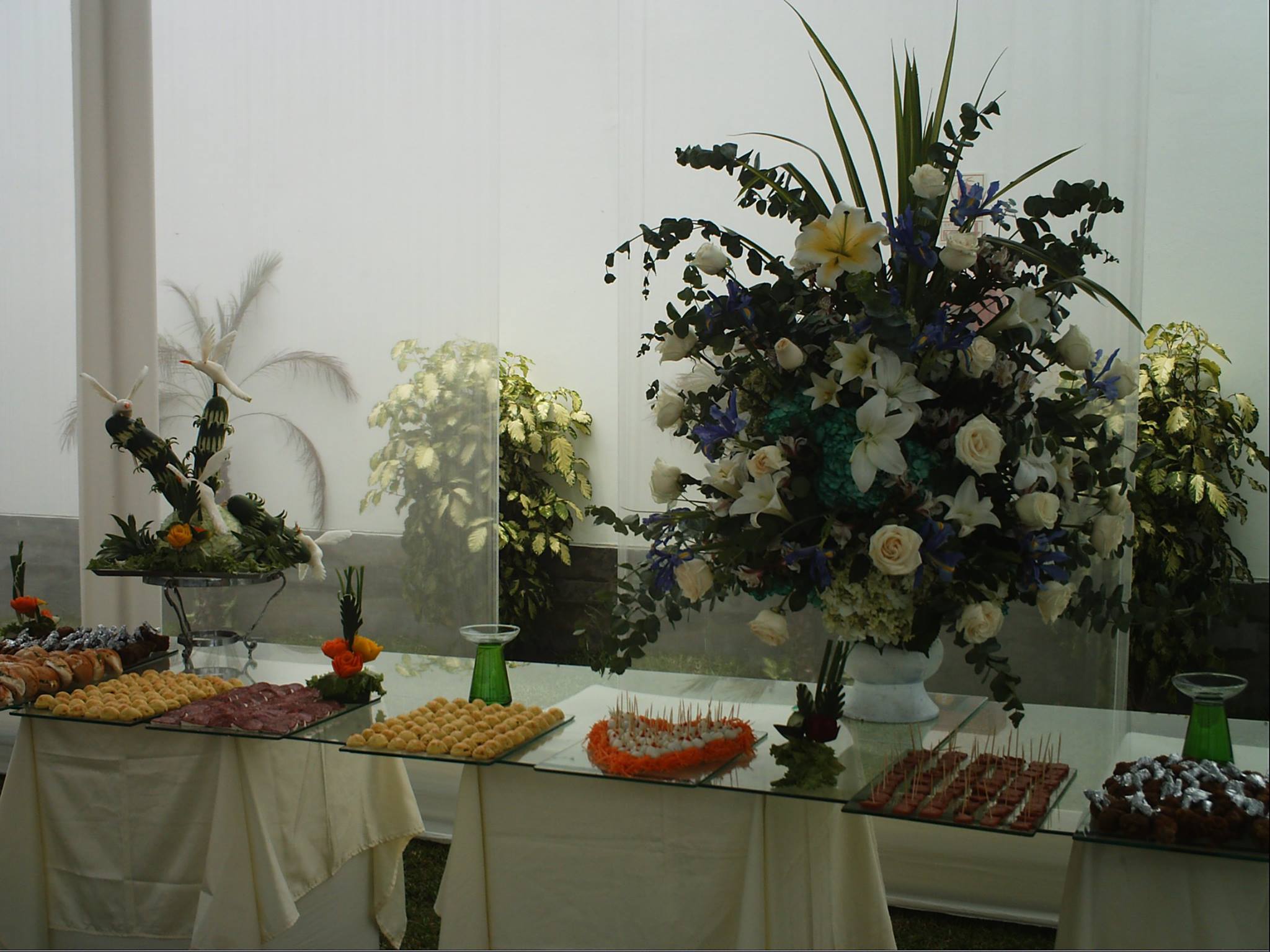 Eventos Sociales